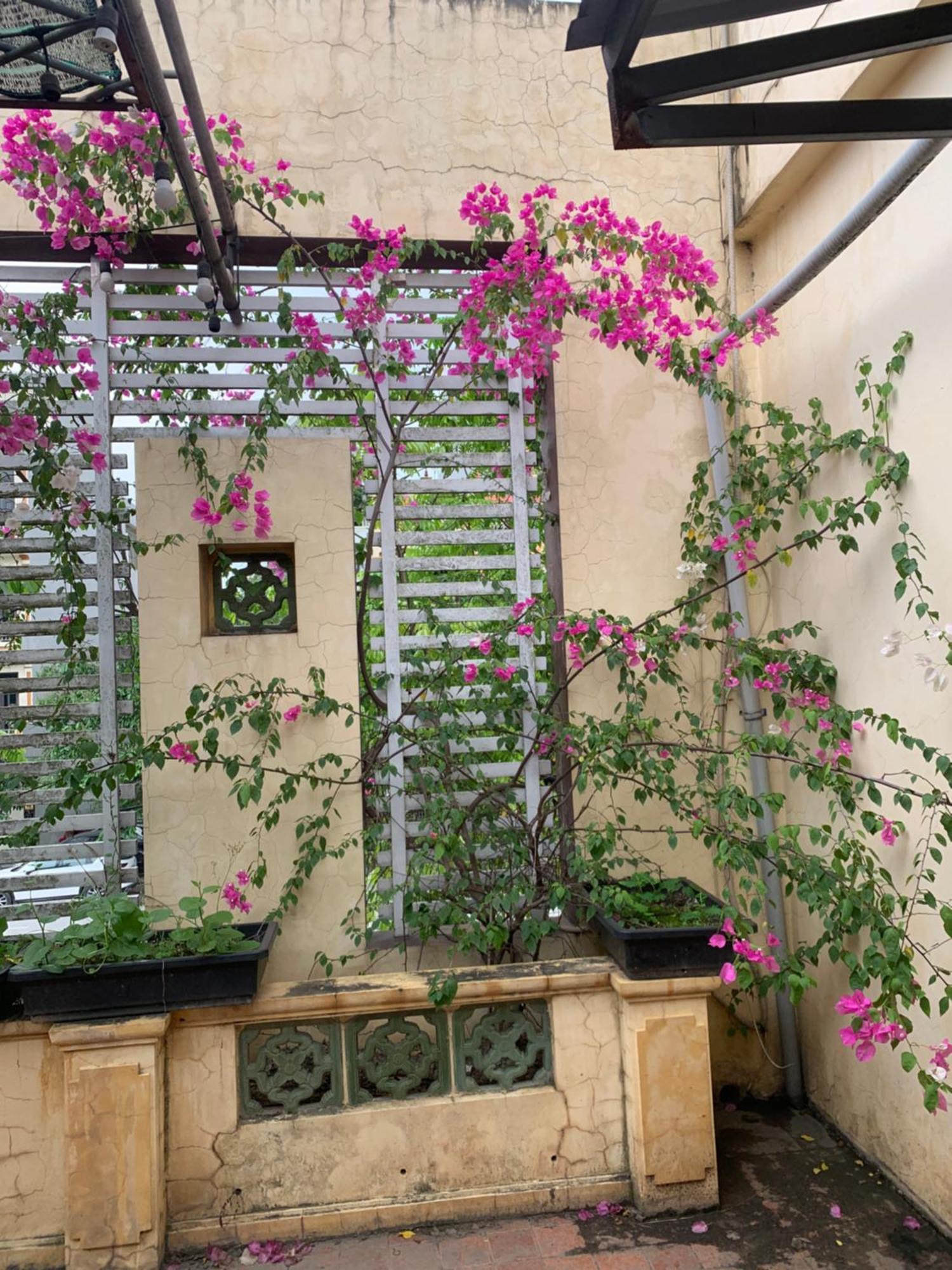 Seoul House Aparthotel Ninh Binh Exterior foto